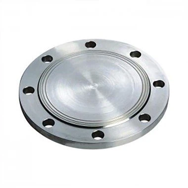 Carbon Steel Flanged